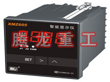 溫度表、數(shù)字顯示儀、濕度表