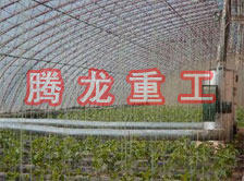 大棚花卉供暖設(shè)備、大棚卉采暖設(shè)備、大棚花卉取暖設(shè)備