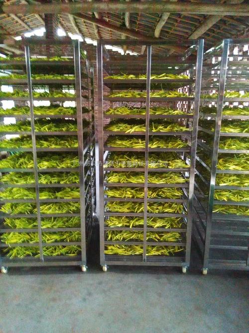 黃花菜烘干機、黃花菜烘干設(shè)備、黃花菜干燥機、黃花菜干燥設(shè)備、